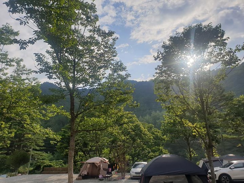 우리들캠핑장 대표 사진