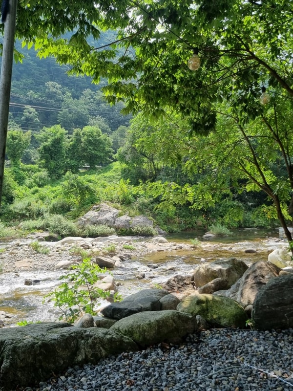 모든 사이트가 계곡뷰 '꽃댕이 오토캠핑장' 제천 계곡 캠핑장