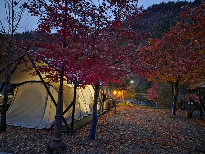 가을 풍경이 너무 예뻤던 홍천캠핑장 "J캠핑장"