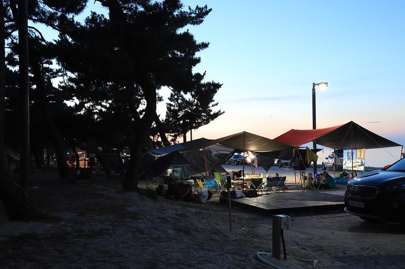 연곡해변 솔향기캠핑장 시설 사진 18