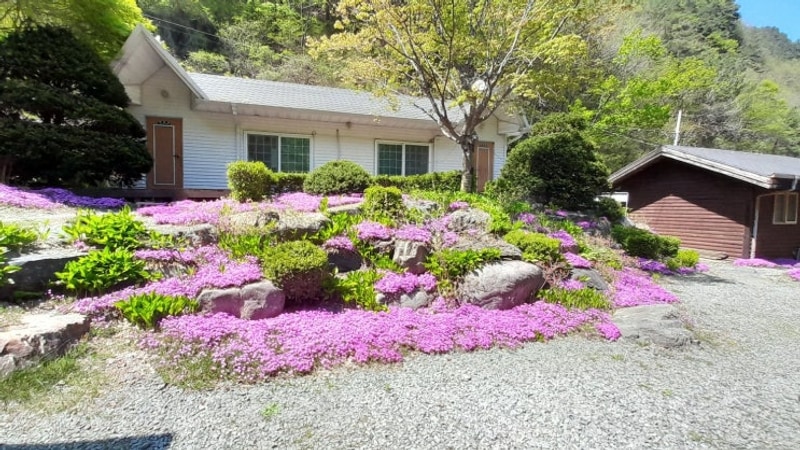 정선 도원펜션&캠핑장 – 정선계곡펜션에서 감성 가득한 불멍...