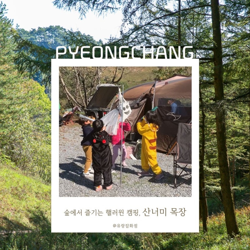 [평창] 산너미목장 : 핼러윈 캠핑