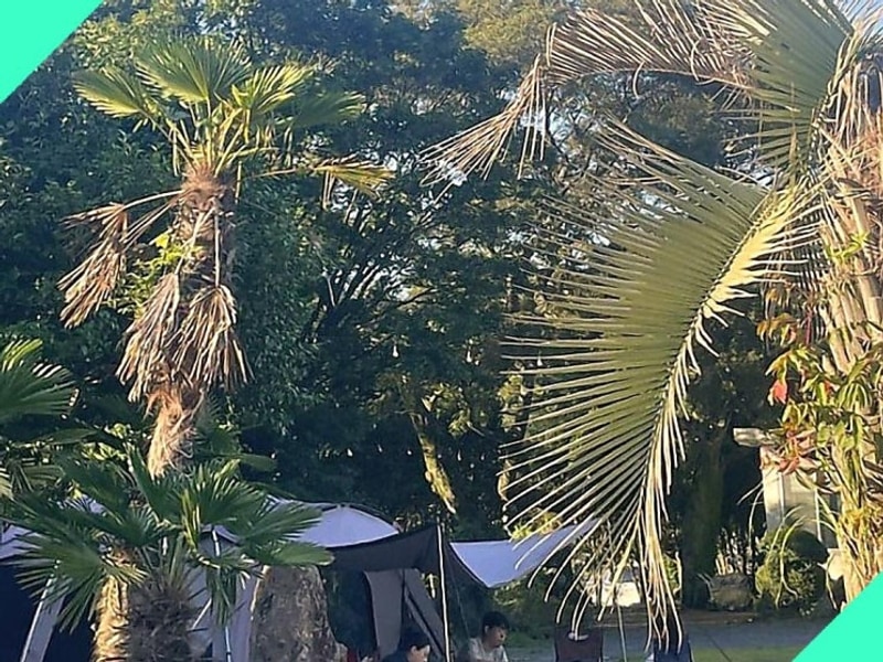 제주 애월의 완벽한 휴식, 제주올레캠핑에서 만난 힐링 여행