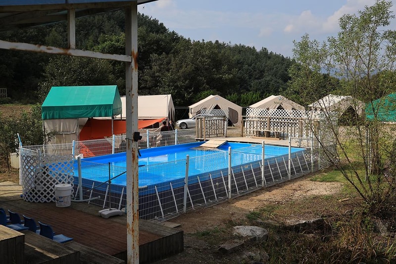 링크독 애견캠핑장(Link dog 애견캠핑장) 시설 사진 13