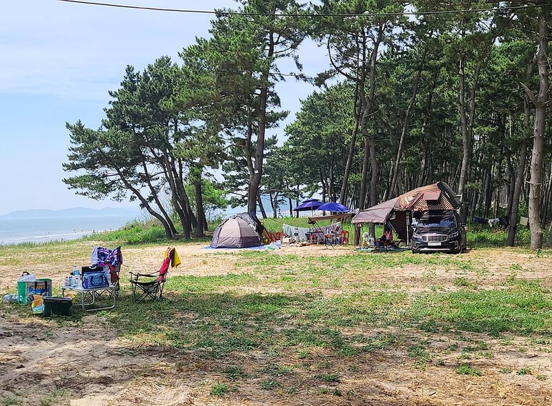 태안노을숲캠핑장 시설 사진 9