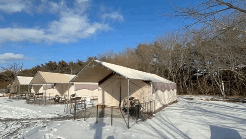 서산여행 서울근교애견글램핑펜션 서산 펫앤트리