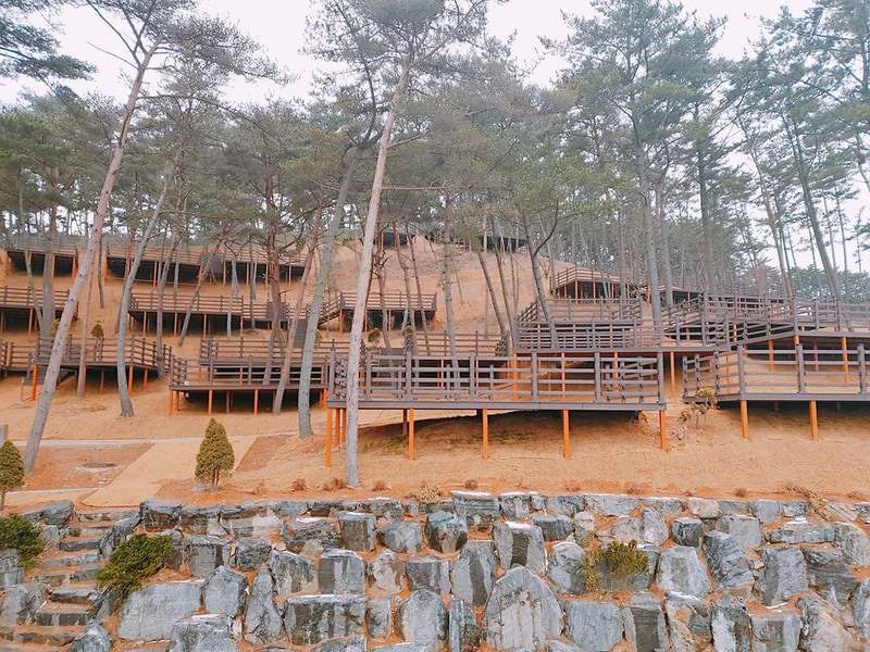 솔향기캠핑장 시설 사진 21