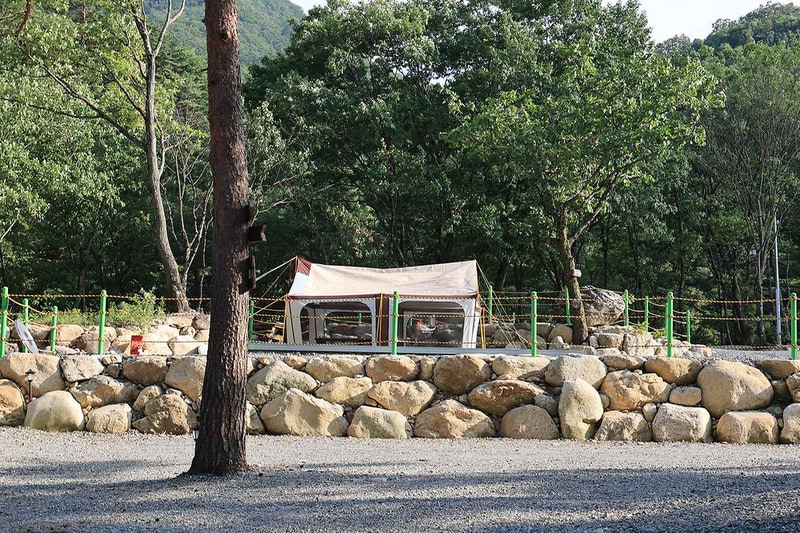 법수치오토캠핑장 시설 사진 9