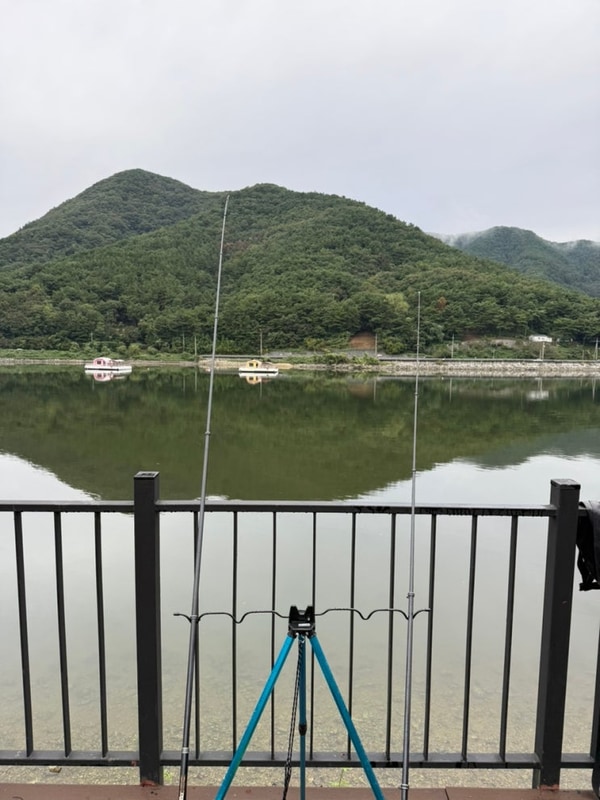 바로 앞에서 낚시할 수 있는 고성 놀터 캠핑장 사이트 15번 후기