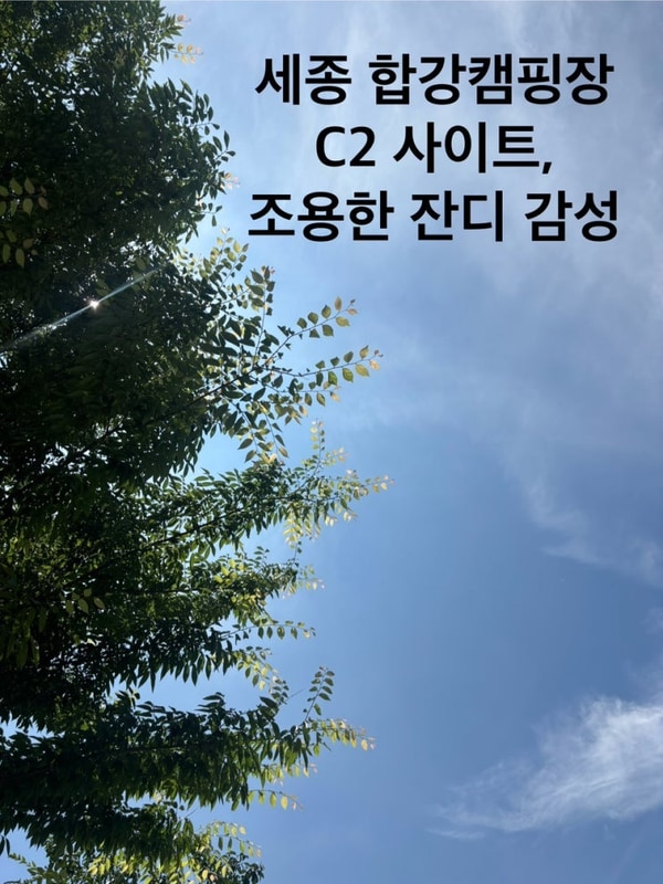 세종 합강캠핑장 c2 사이트 후기ㅣ예약방법 시설배치 명당추천...