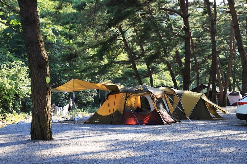 솔밭 캠프장 시설 사진 16