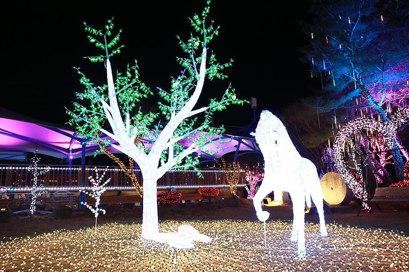 장승마을 카라반 시설 사진 15