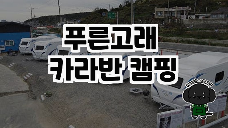 푸른고래 카라반 캠핑, 오션뷰 천국에서의 힐링