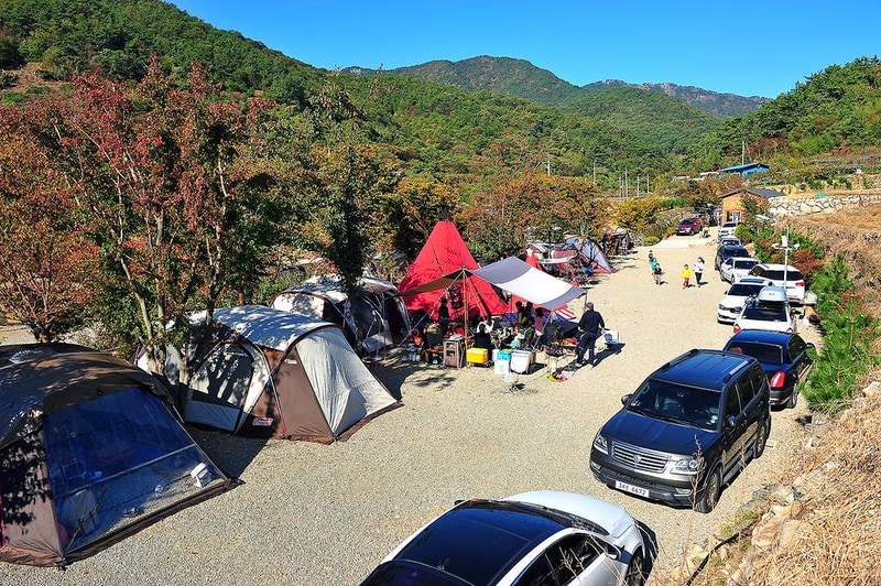 고성 장좌리 캠핑장 시설 사진 20