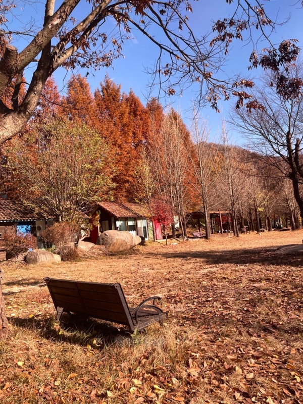 아이들 체험거리가 가득한 충주 햇살아래캠핑장(A-16사이트)