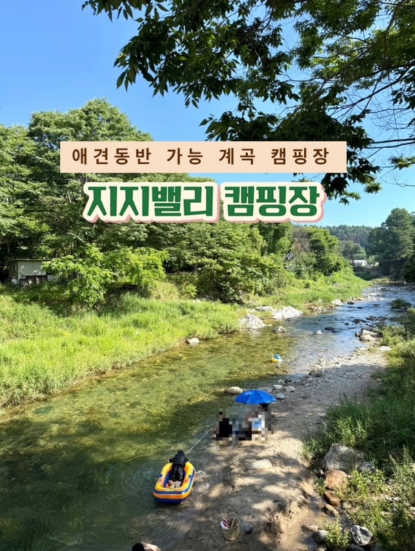 가평 애견동반 계곡 캠핑장 지지밸리오토캠핑장 후기