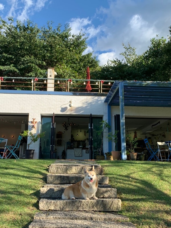 [경기/가평] 가평 포레스트소울 캠핑장 추천 C3 사이트 추천...