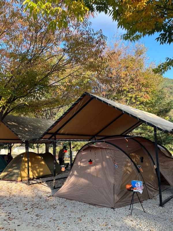 가을 단풍 속 아담한 힐링, 포천 도리돌캠핑장 카바나 데크 후기