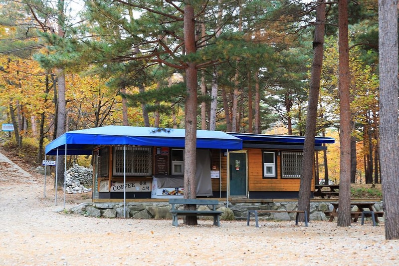 강릉 노추산 힐링캠프 시설 사진 9