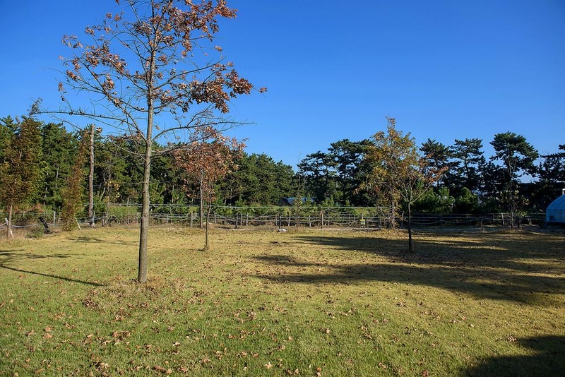 별헤는 밤 시설 사진 9