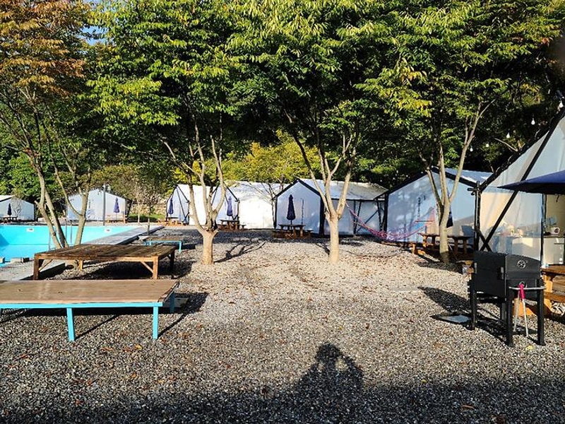 평화숲 대표 사진