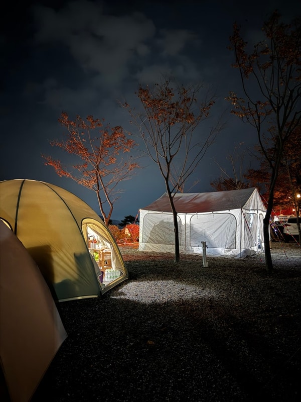 서울근교 캠핑장 동두천 파인힐빌리지 카페