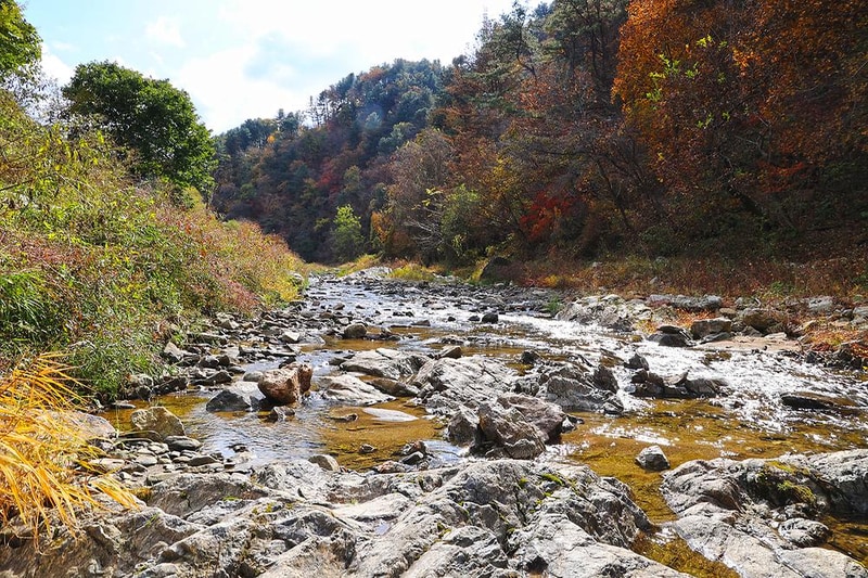 포천그린별캠핑장 시설 사진 16