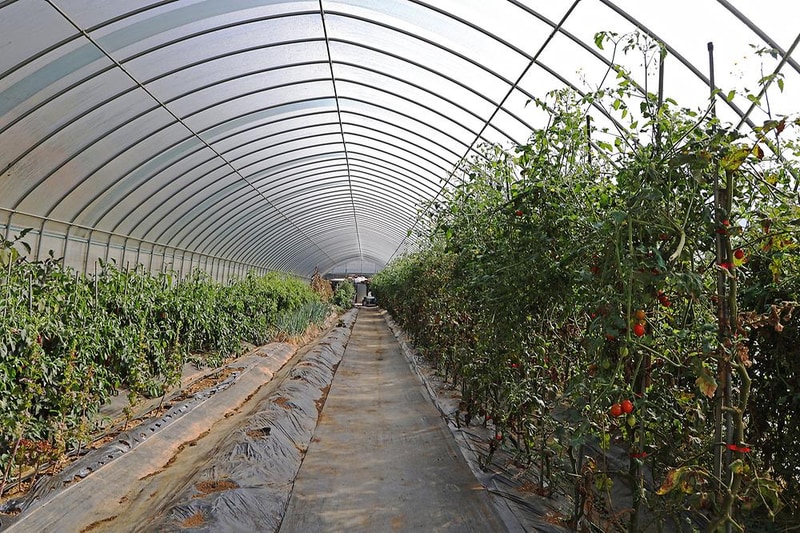 가평랜드 캠핑&카라반 시설 사진 7