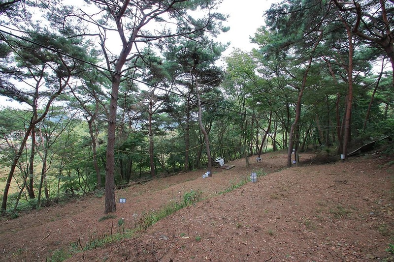 상양관광농원 시설 사진 5