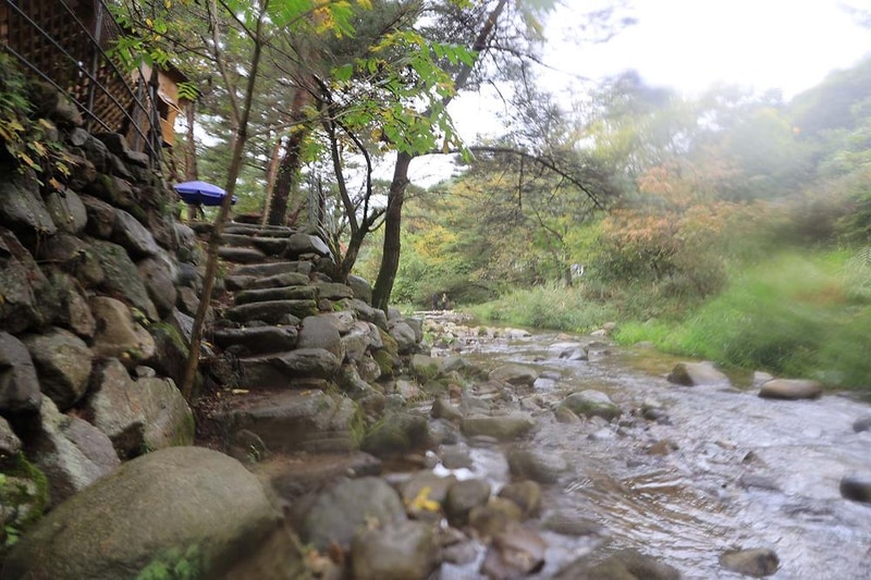 트리하우스계곡야영장 시설 사진 2