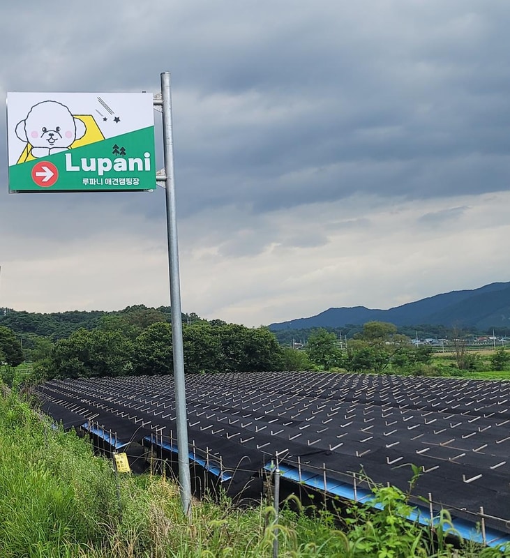 루파니애견캠핑장 시설 사진 20