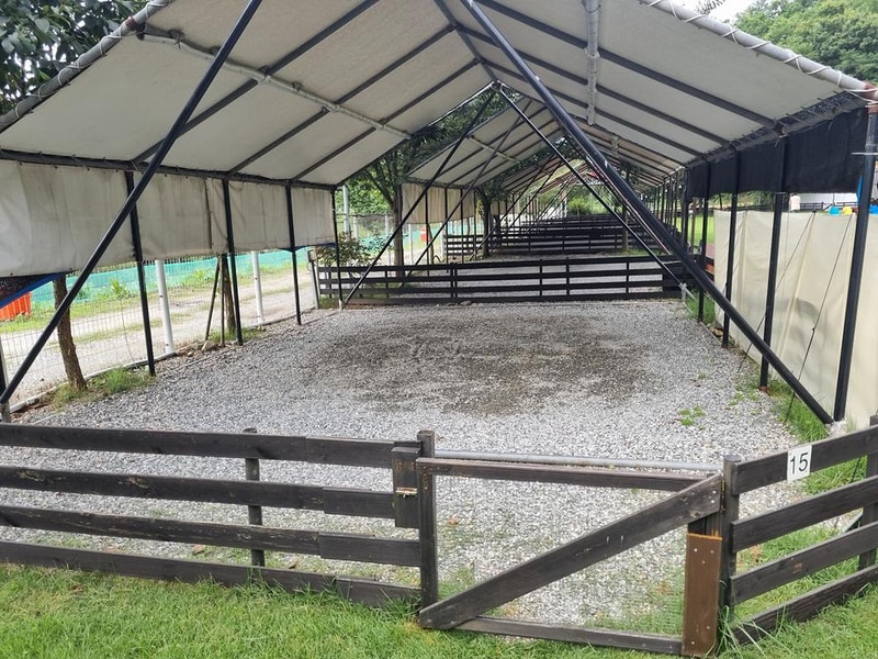 루파니애견캠핑장 시설 사진 9