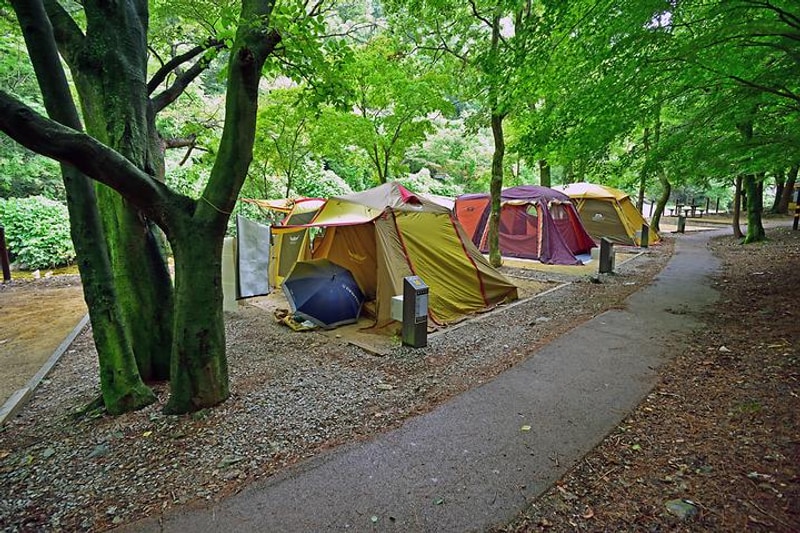 내장산국립공원 내장야영장 대표 사진
