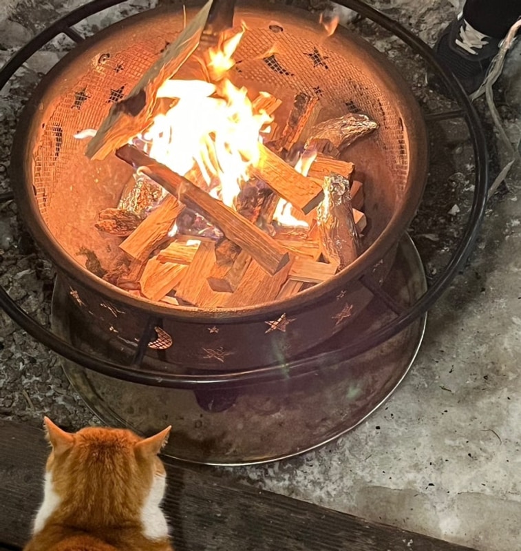 [포천] 호랑이 캠핑/겨울글램핑 /마켓컬리장보기/(aka....