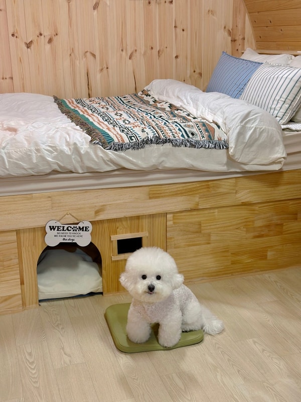 홍천 리버카라반 개별 펜스가 쳐져있는 프라이빗한 인스타감성...