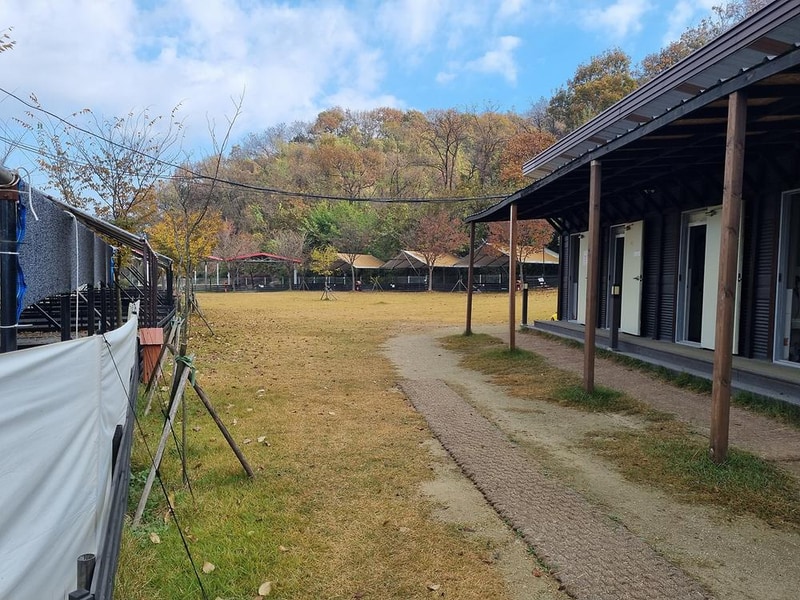 루파니애견캠핑장 시설 사진 22