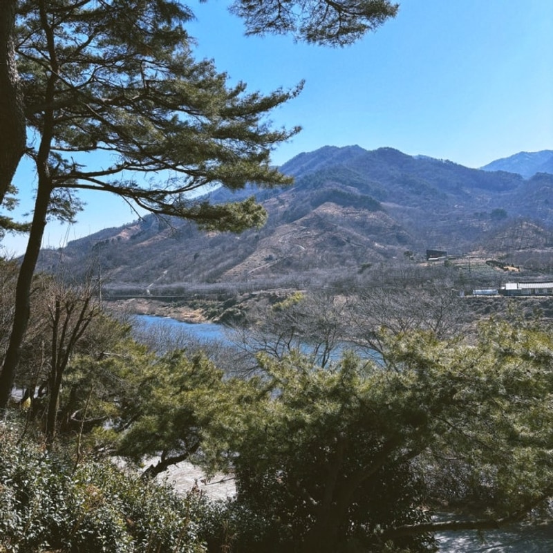 [구례] 애견동반 공기좋고뷰좋은 구례섬지캠핑장
