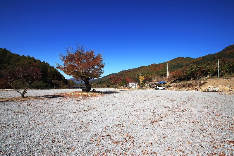 선달산계곡캠핑장 시설 사진 1