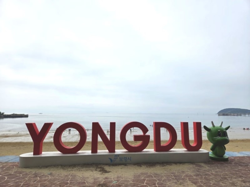 보령 / 용두해수욕장 / 숲속야영장 / 동백관 310호