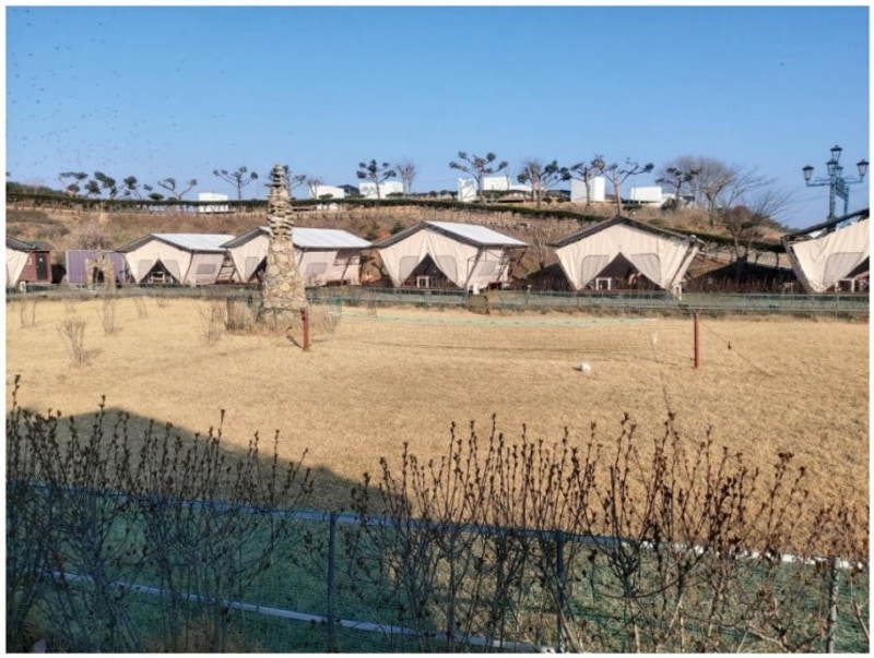 가득한 밤을 보낸 안면도카라반 태안 안면도 비비애견동반캠핑장