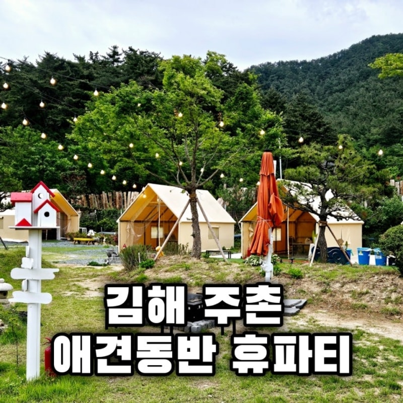 김해 애견 동반 주촌 고기집 휴파티에서 당일글램핑 후기