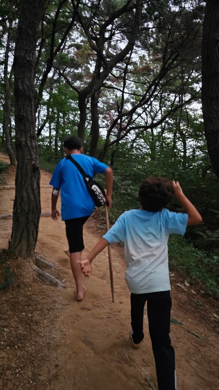 울산 중구 생태체험하기 좋은 황방산 생태야영장 잔디광장