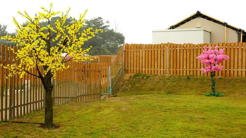 도그팰리스 애견동반글램핑 시설 사진 1