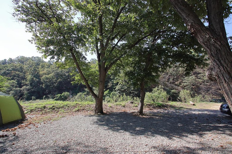 초평밤나무 시설 사진 9