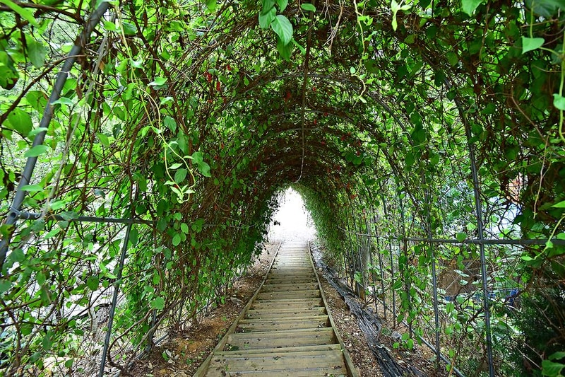 하늘구름길 캠핑장 시설 사진 7