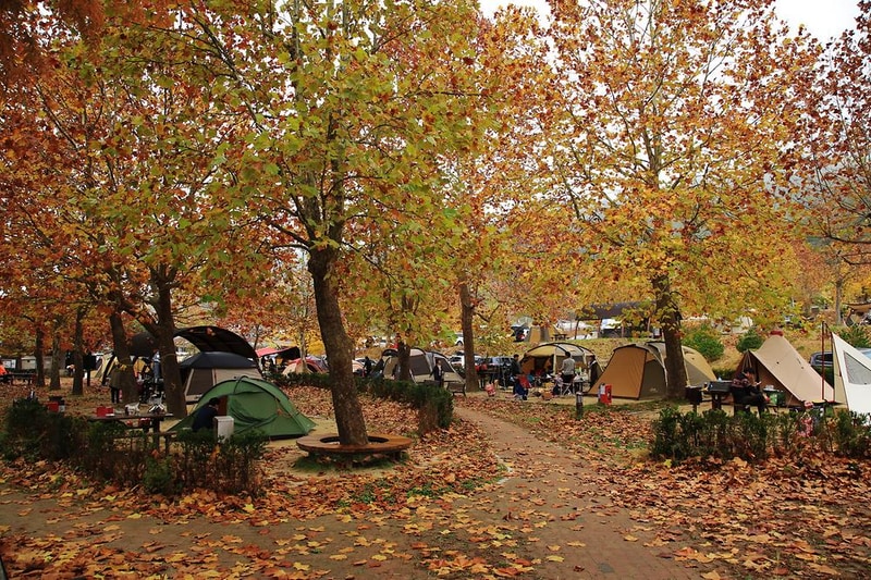 주왕산국립공원 상의자동차 야영장 시설 사진 6