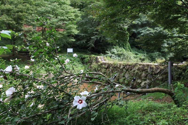 와룡자연휴양림 자동차야영장 시설 사진 4