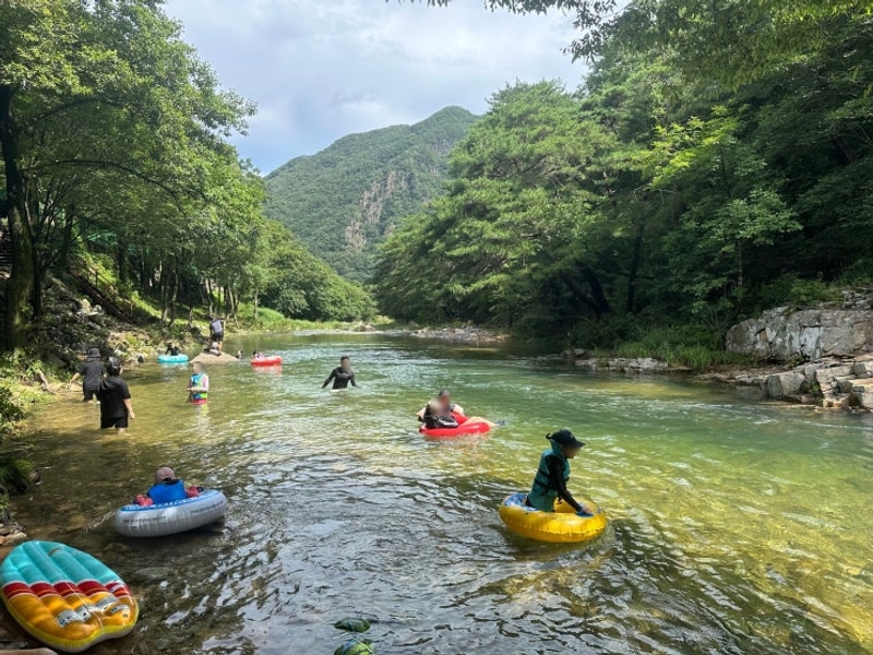 괴산 쌍곡계곡 물소리풍경 평상대여, 예약하는 법(캠핏)