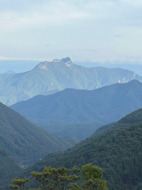 충주 캠핑장] 가장 높은 곳에 있는 재오개 캠핑장- A구역/E구역