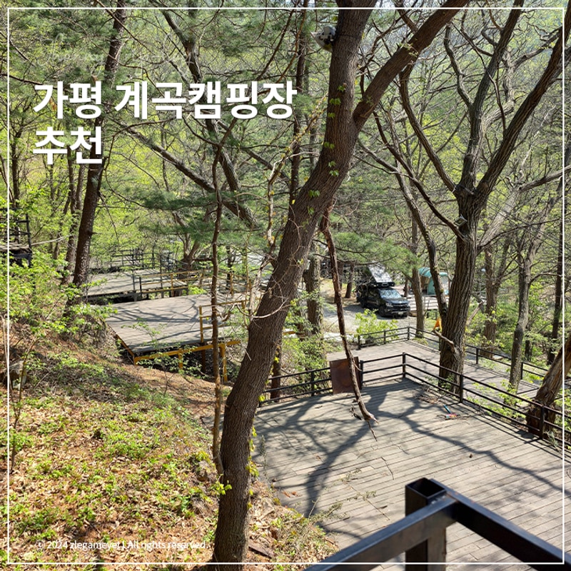 가평 계곡 캠핑장 조용하게 힐링했던 호명산캠프